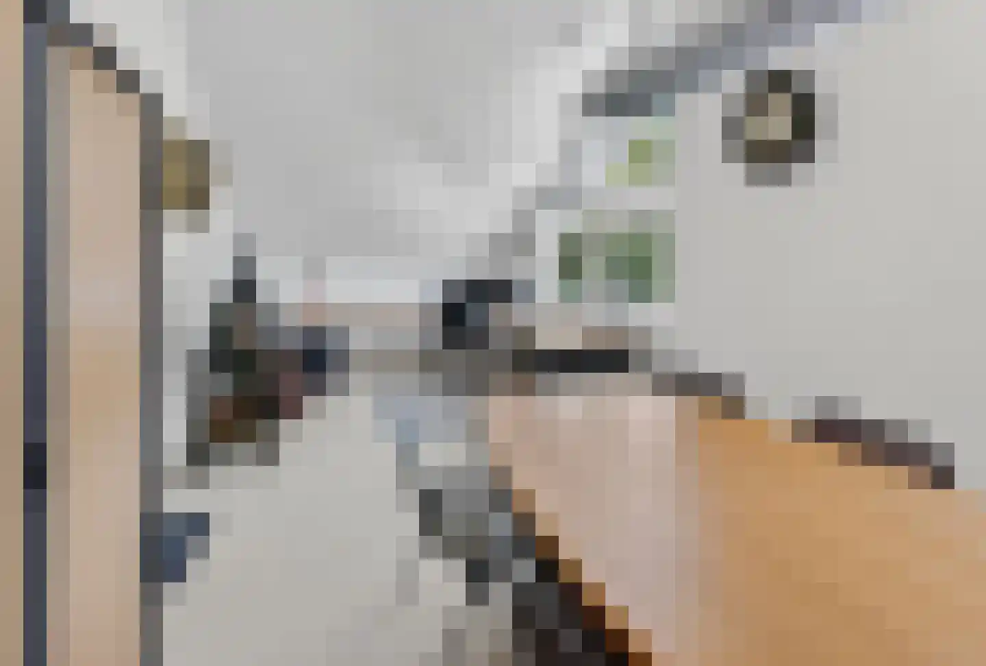 Kluut 38 Sommelsdijk thumbnail 37
