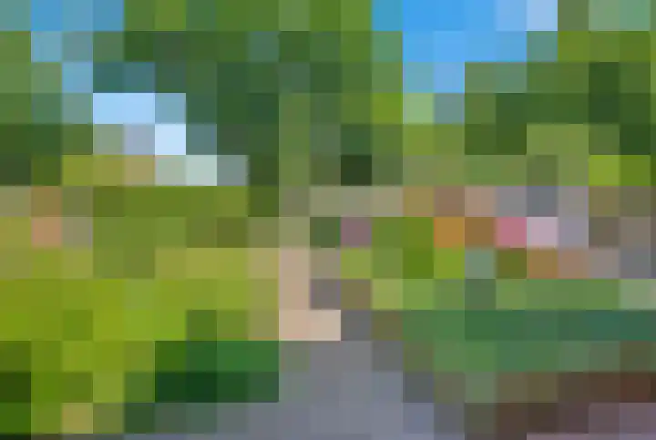 Kluut 38 Sommelsdijk thumbnail 42
