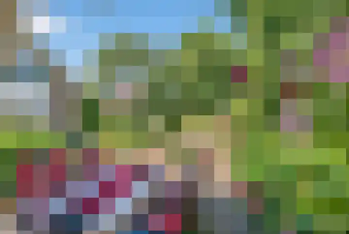 Kluut 38 Sommelsdijk thumbnail 43