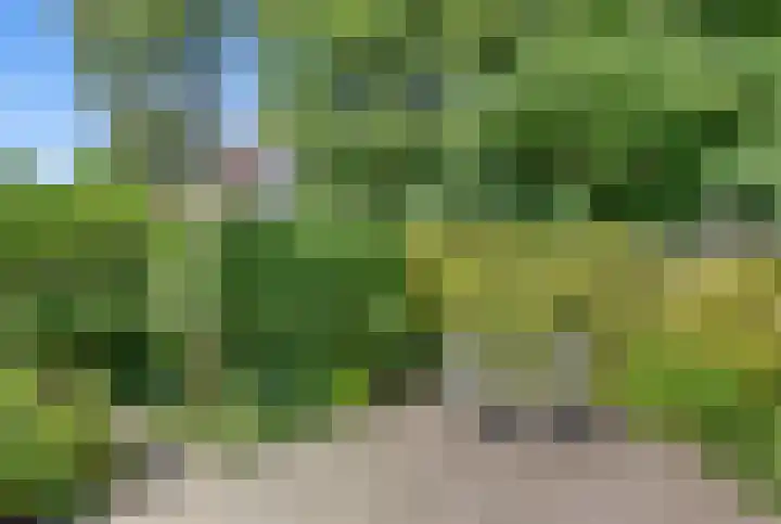 Kluut 38 Sommelsdijk thumbnail 44