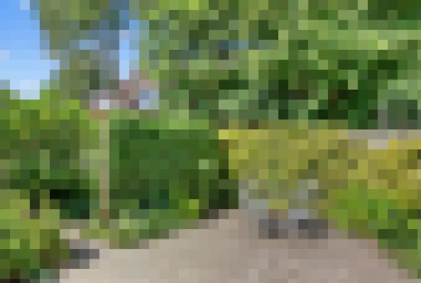 Kluut 38 Sommelsdijk thumbnail 44