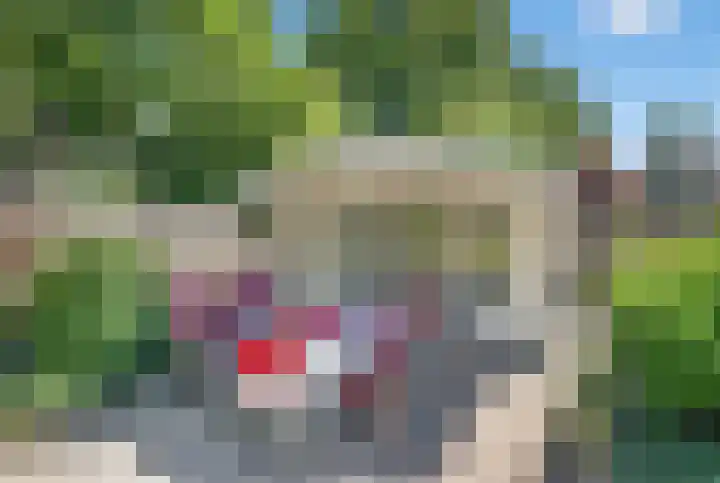 Kluut 38 Sommelsdijk thumbnail 45