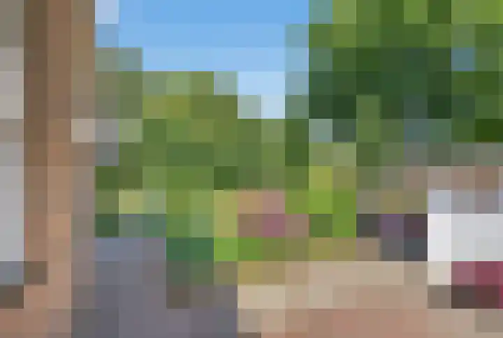 Kluut 38 Sommelsdijk thumbnail 46