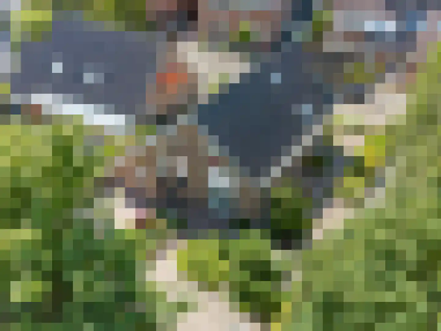 Kluut 38 Sommelsdijk thumbnail 47