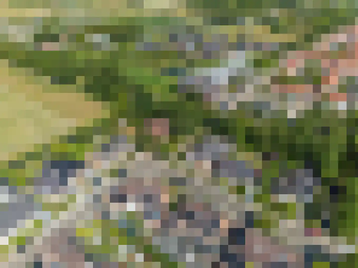 Kluut 38 Sommelsdijk thumbnail 48