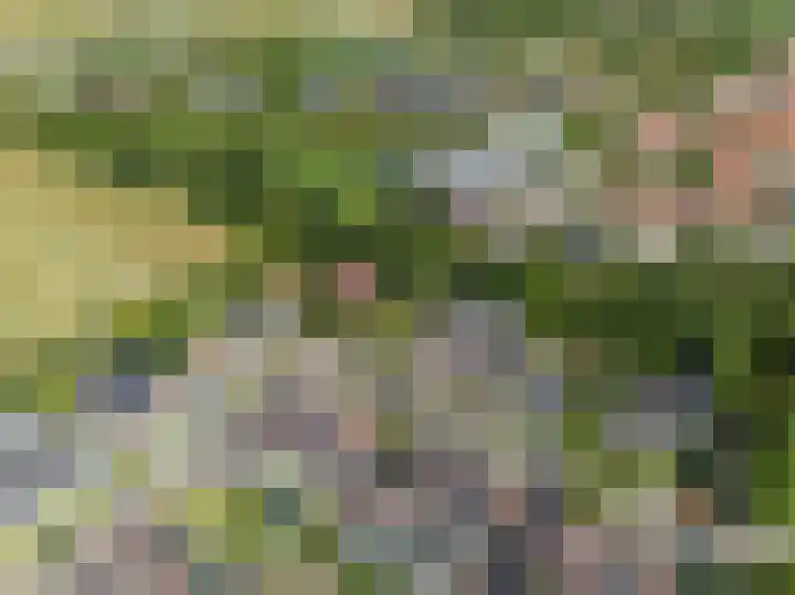 Kluut 38 Sommelsdijk thumbnail 48