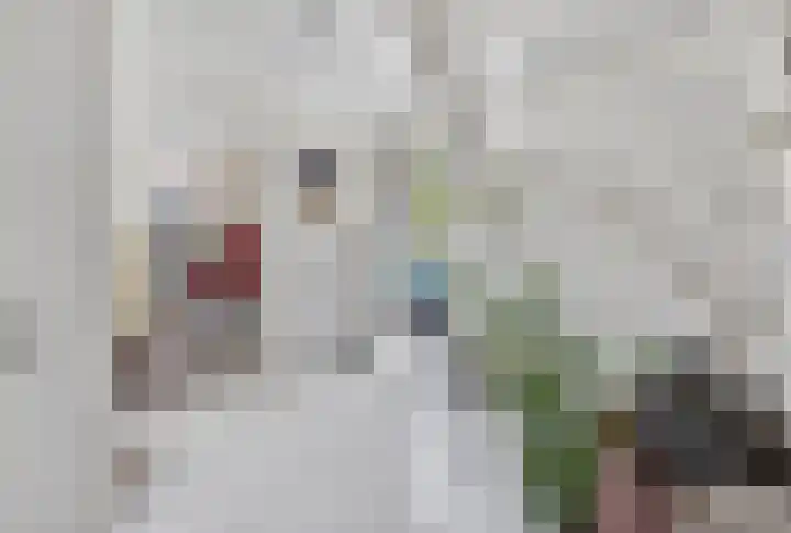 Kluut 38 Sommelsdijk thumbnail 8