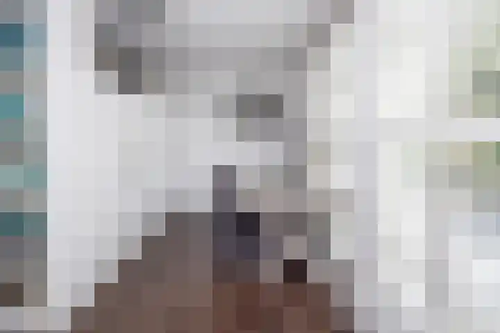 Kluut 8 Hoogkarspel thumbnail 10