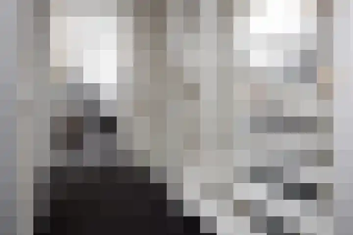 Kluut 8 Hoogkarspel thumbnail 20