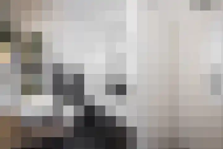 Kluut 8 Hoogkarspel thumbnail 21