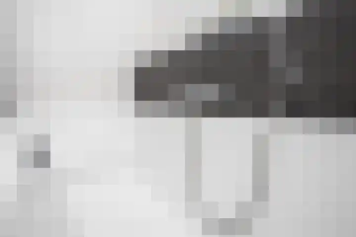 Kluut 8 Hoogkarspel thumbnail 23