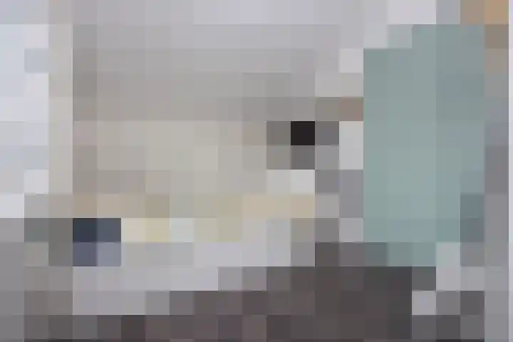 Kluut 8 Hoogkarspel thumbnail 24