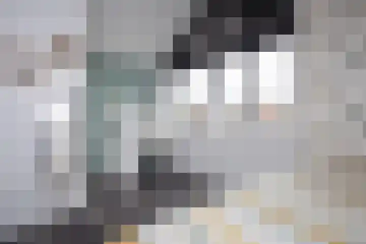 Kluut 8 Hoogkarspel thumbnail 25