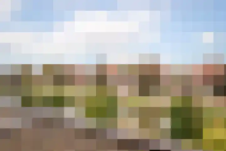 Kluut 8 Hoogkarspel thumbnail 28