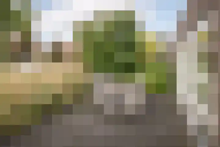 Kluut 8 Hoogkarspel thumbnail 29