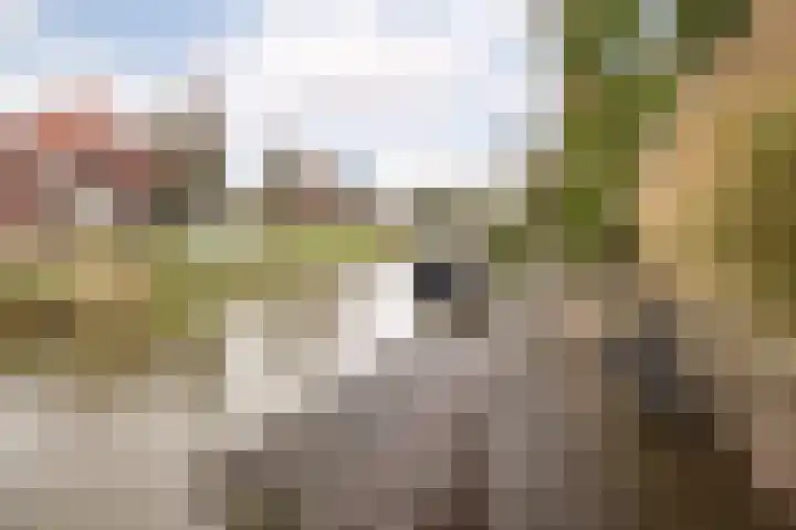 Kluut 8 Hoogkarspel thumbnail 33