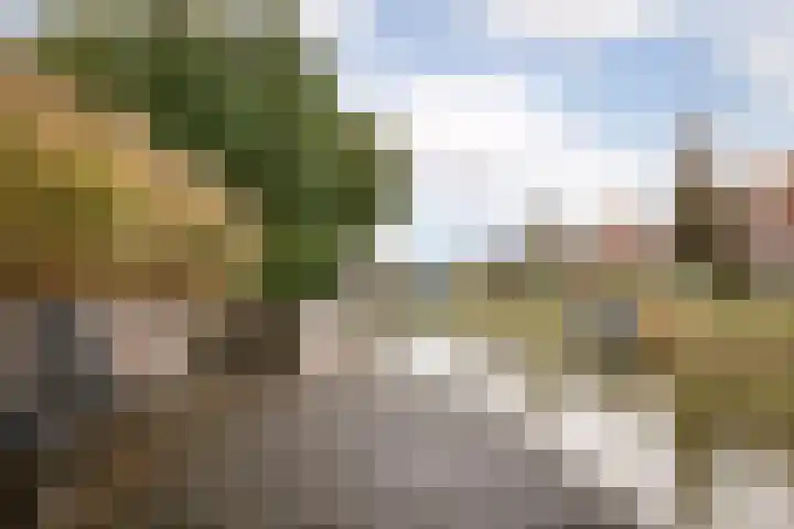 Kluut 8 Hoogkarspel thumbnail 34