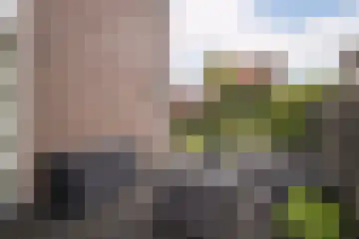 Kluut 8 Hoogkarspel thumbnail 36