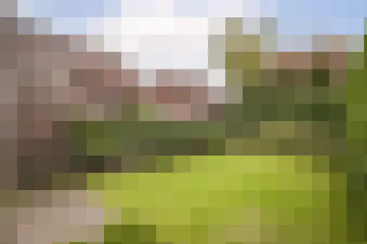 Kluut 8 Hoogkarspel thumbnail 37