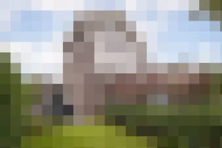 Kluut 8 Hoogkarspel thumbnail 38