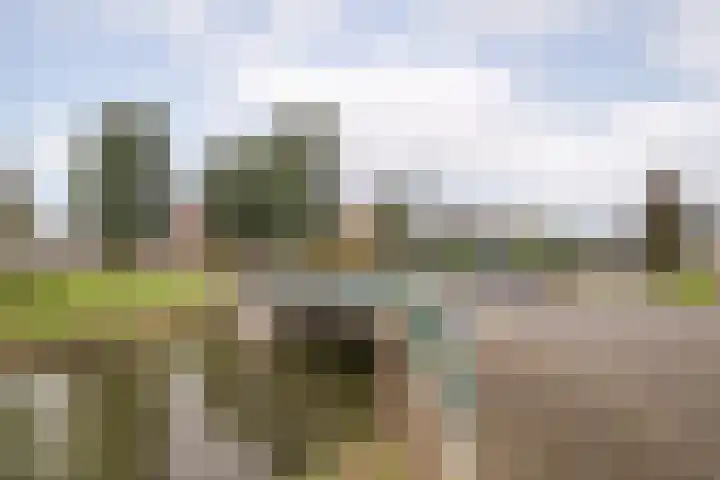 Kluut 8 Hoogkarspel thumbnail 40