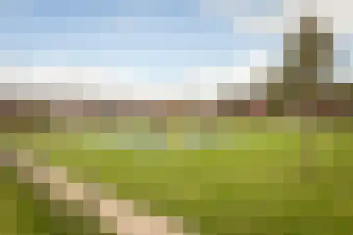 Kluut 8 Hoogkarspel thumbnail 41