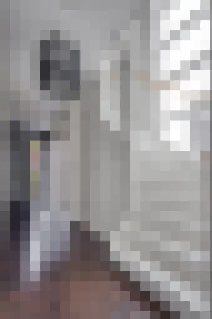 Kluut 8 Hoogkarspel thumbnail 51