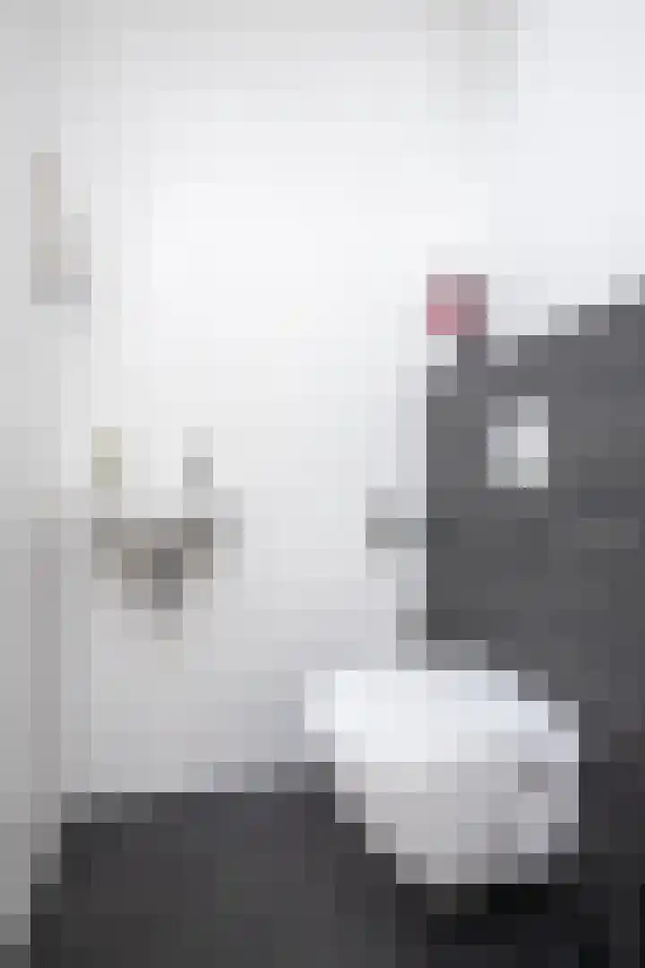 Kluut 8 Hoogkarspel thumbnail 52