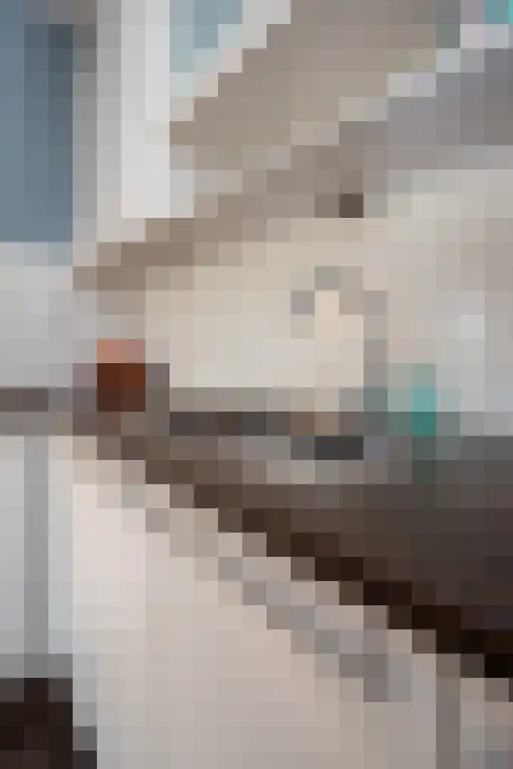 Kluut 8 Hoogkarspel thumbnail 53