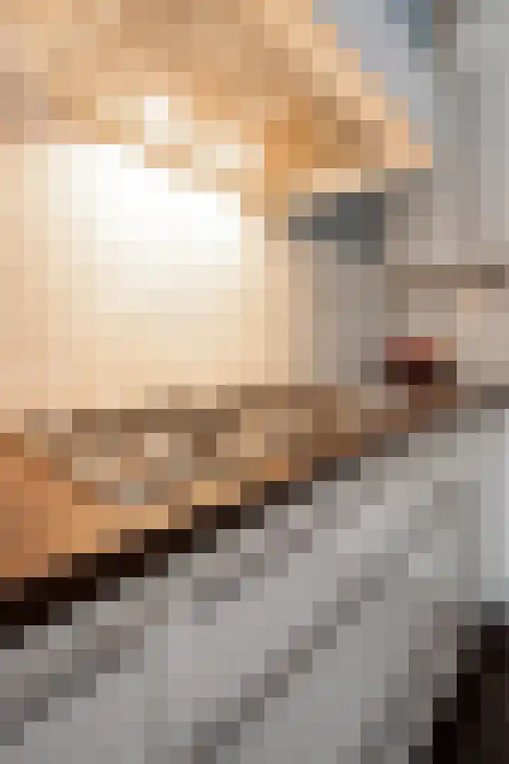 Kluut 8 Hoogkarspel thumbnail 54