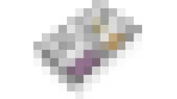 Kluut 8 Hoogkarspel thumbnail 61