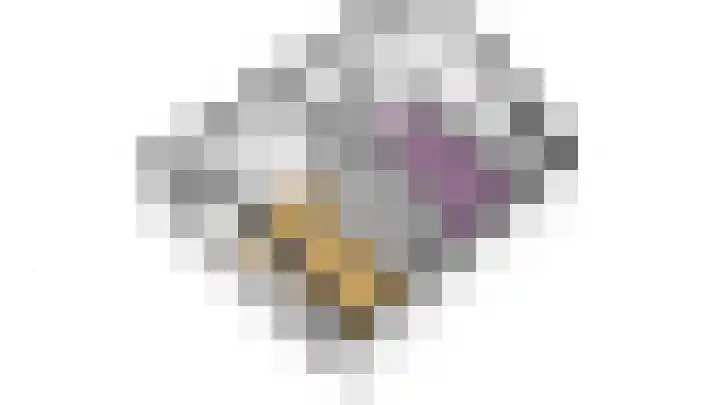 Kluut 8 Hoogkarspel thumbnail 63