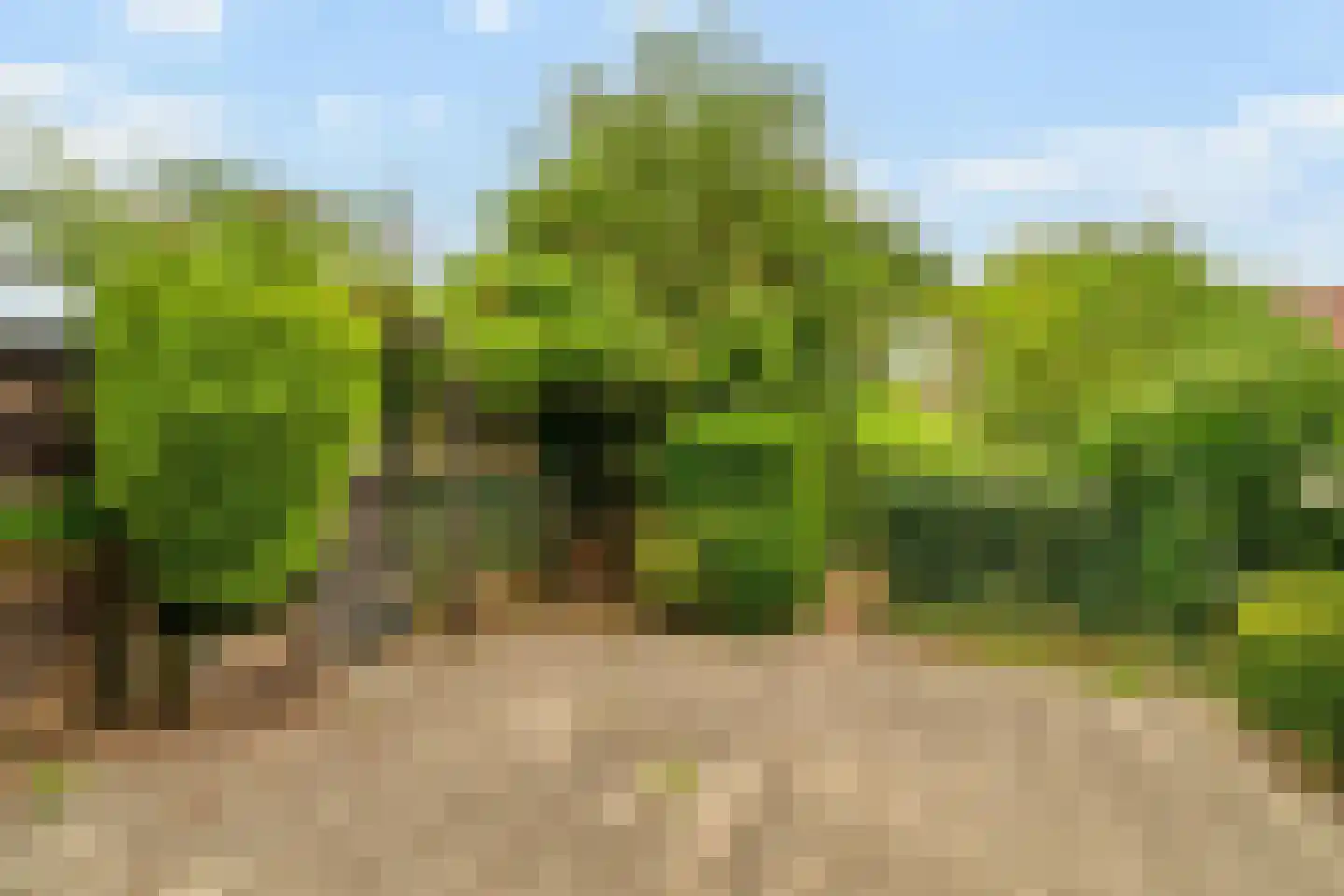 Kluutring 1 Delft thumbnail 28