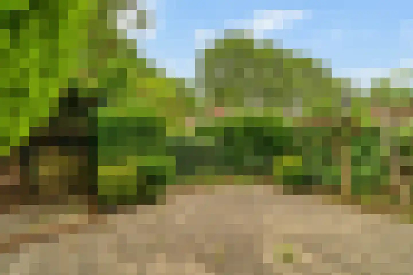 Kluutring 1 Delft thumbnail 30