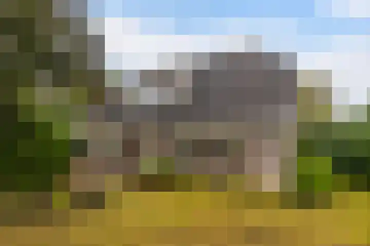 Klynlân 16 Heerenveen thumbnail 11