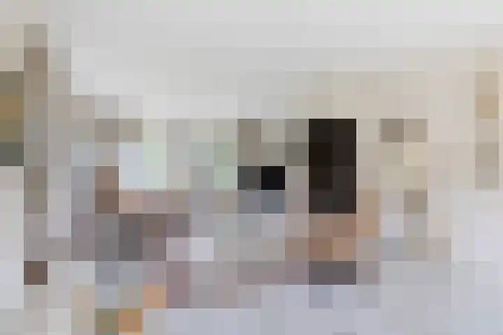 Klynlân 16 Heerenveen thumbnail 17