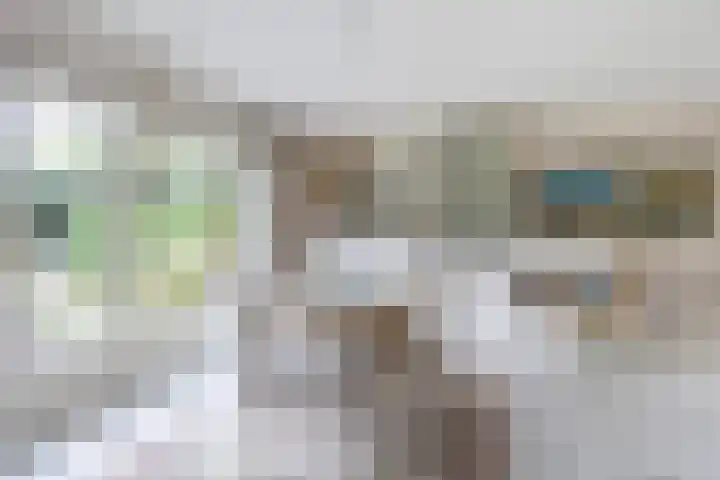 Klynlân 16 Heerenveen thumbnail 19