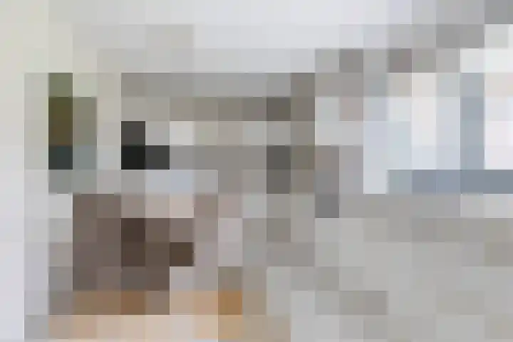 Klynlân 16 Heerenveen thumbnail 22