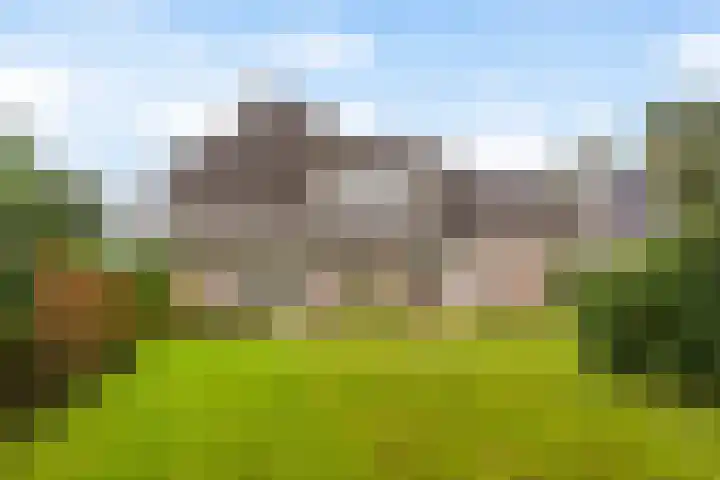 Klynlân 16 Heerenveen thumbnail 4
