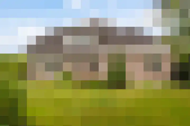 Klynlân 16 Heerenveen thumbnail 41