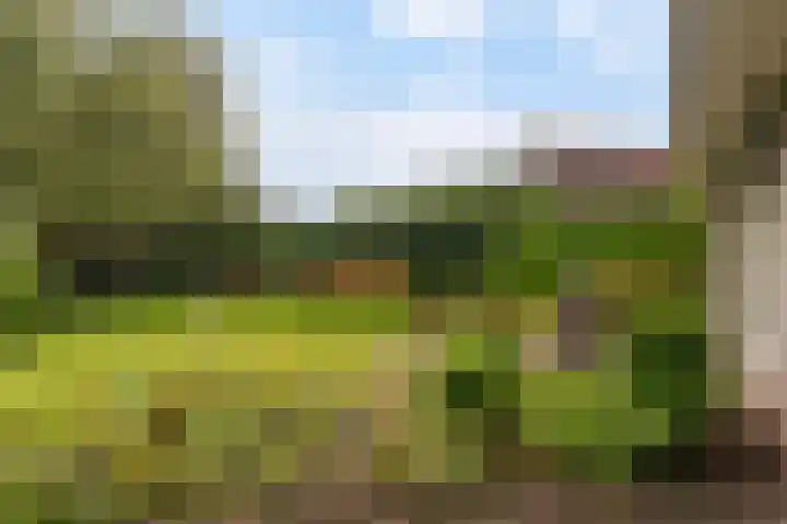 Klynlân 16 Heerenveen thumbnail 43
