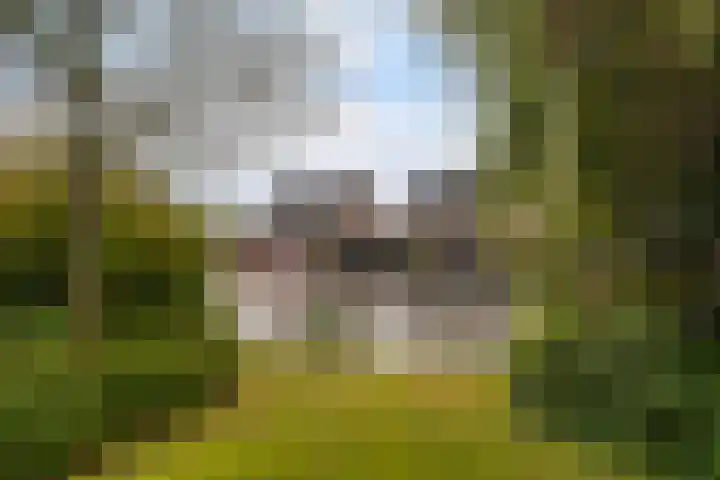 Klynlân 16 Heerenveen thumbnail 5