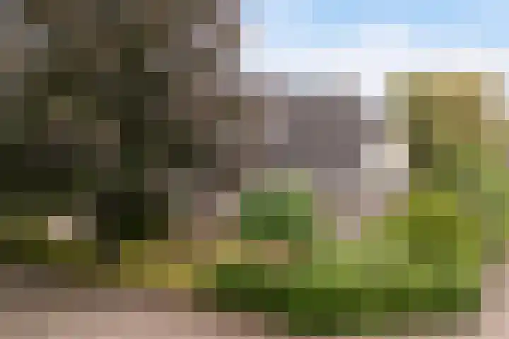 Klynlân 16 Heerenveen thumbnail 6