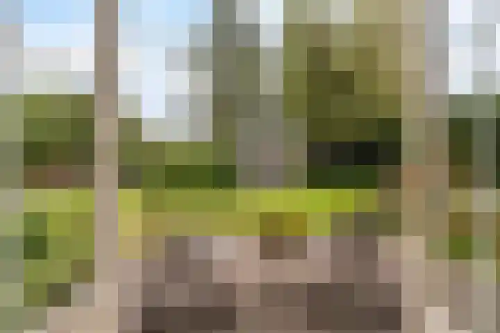 Klynlân 16 Heerenveen thumbnail 8