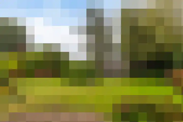 Klynlân 16 Heerenveen thumbnail 9