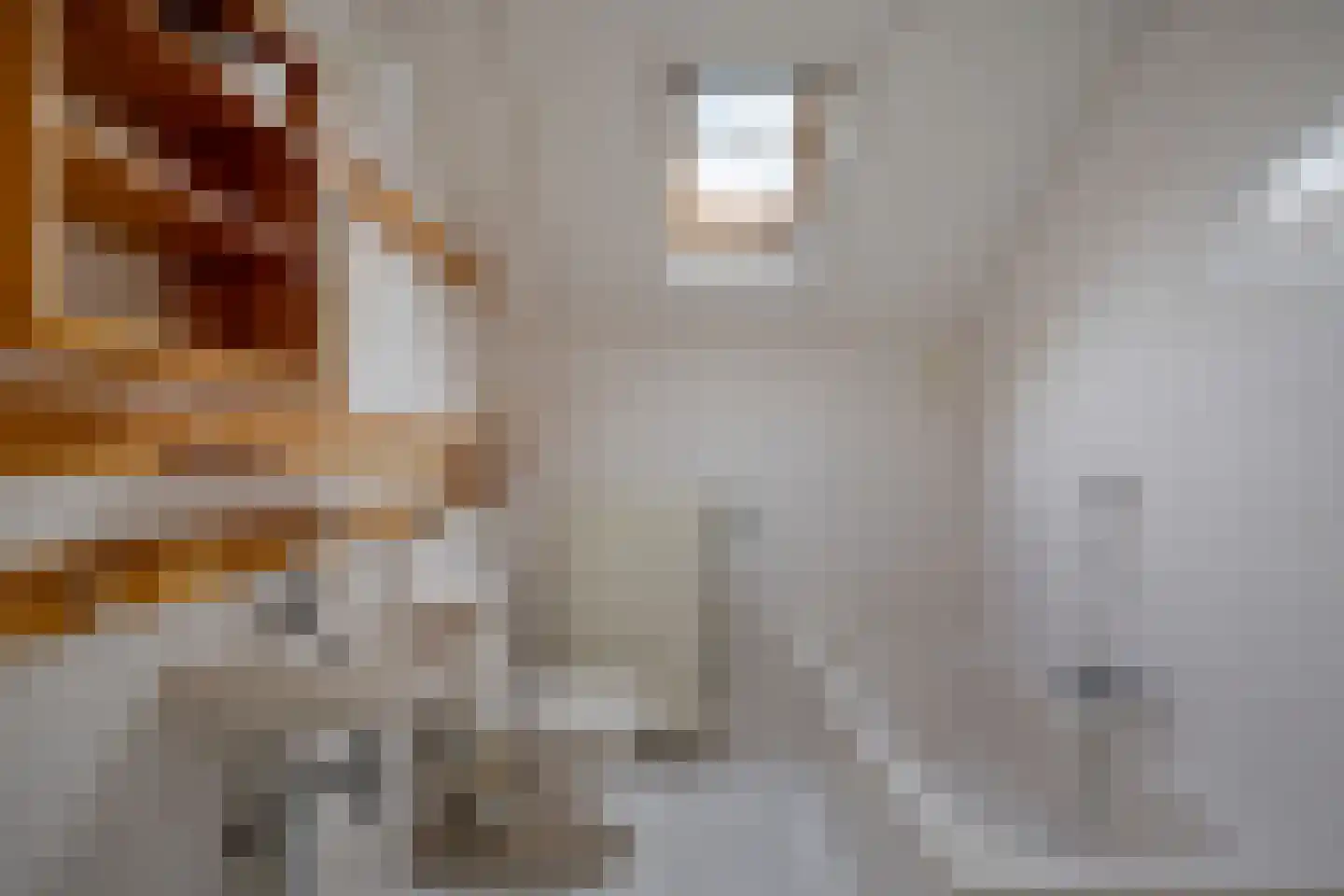 Klynlân 5 Heerenveen thumbnail 30