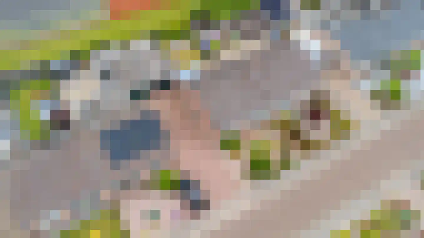 Klysterstrjitte 9 De Westereen thumbnail 5