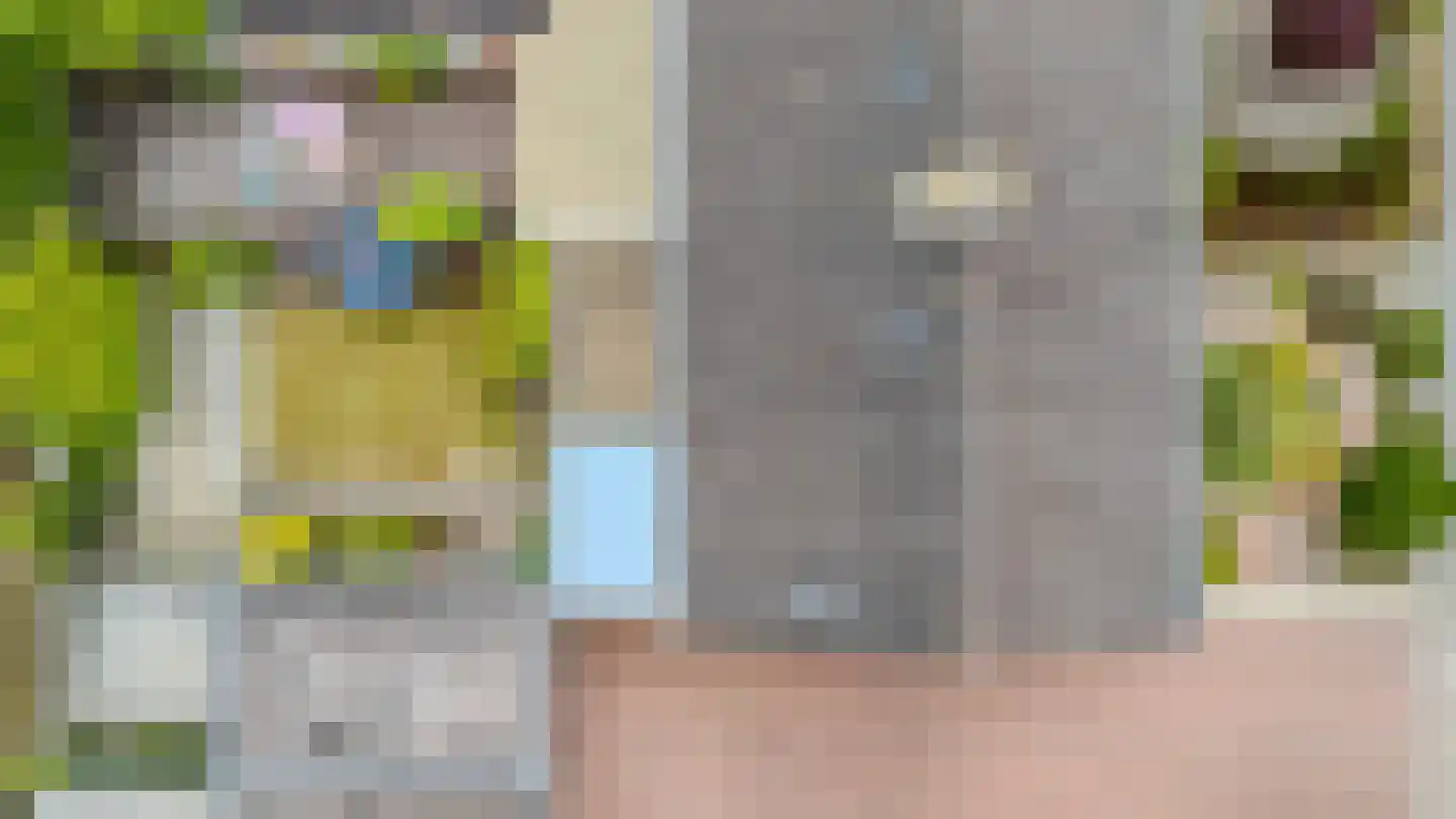 Klysterstrjitte 9 De Westereen thumbnail 6