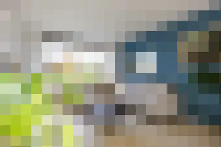KN Kuperusstrjitte 9 Marsum thumbnail 13