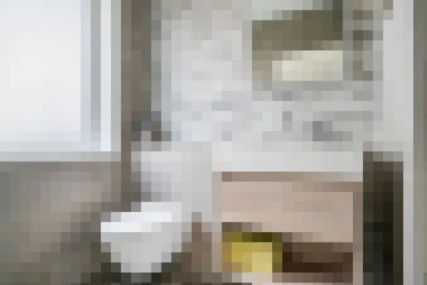 Knalhutteweg 255 Enschede thumbnail 26